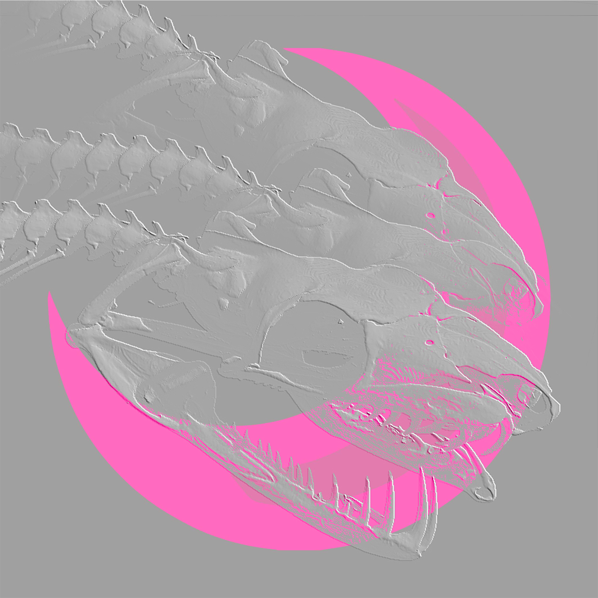 Three snake-like skeletons intersect with a pink crescent moon.
